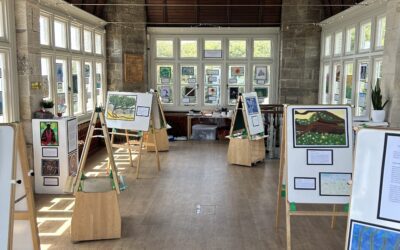 The Child as an Artist: Expressions of Durlston
