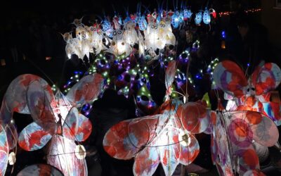 ‘Mission Minibeast’ Illuminated Performance